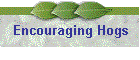Encouraging Hogs