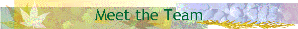Meet the Team