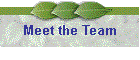 Meet the Team